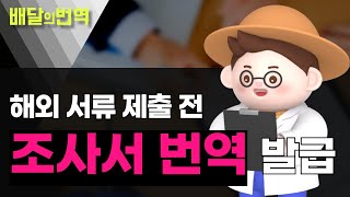 조사서 해외 서류 번역 전문가 견적 진행할 땐? | 배달의번역